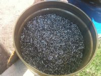 ::::::::COMPRAMOS CHATARRA::::::::